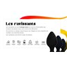 Les ravissants Lot de 3 plugs anaux - L'insatiable Jacquie & Michel